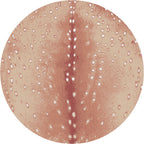 Spotted Hide American Dakota Rugs