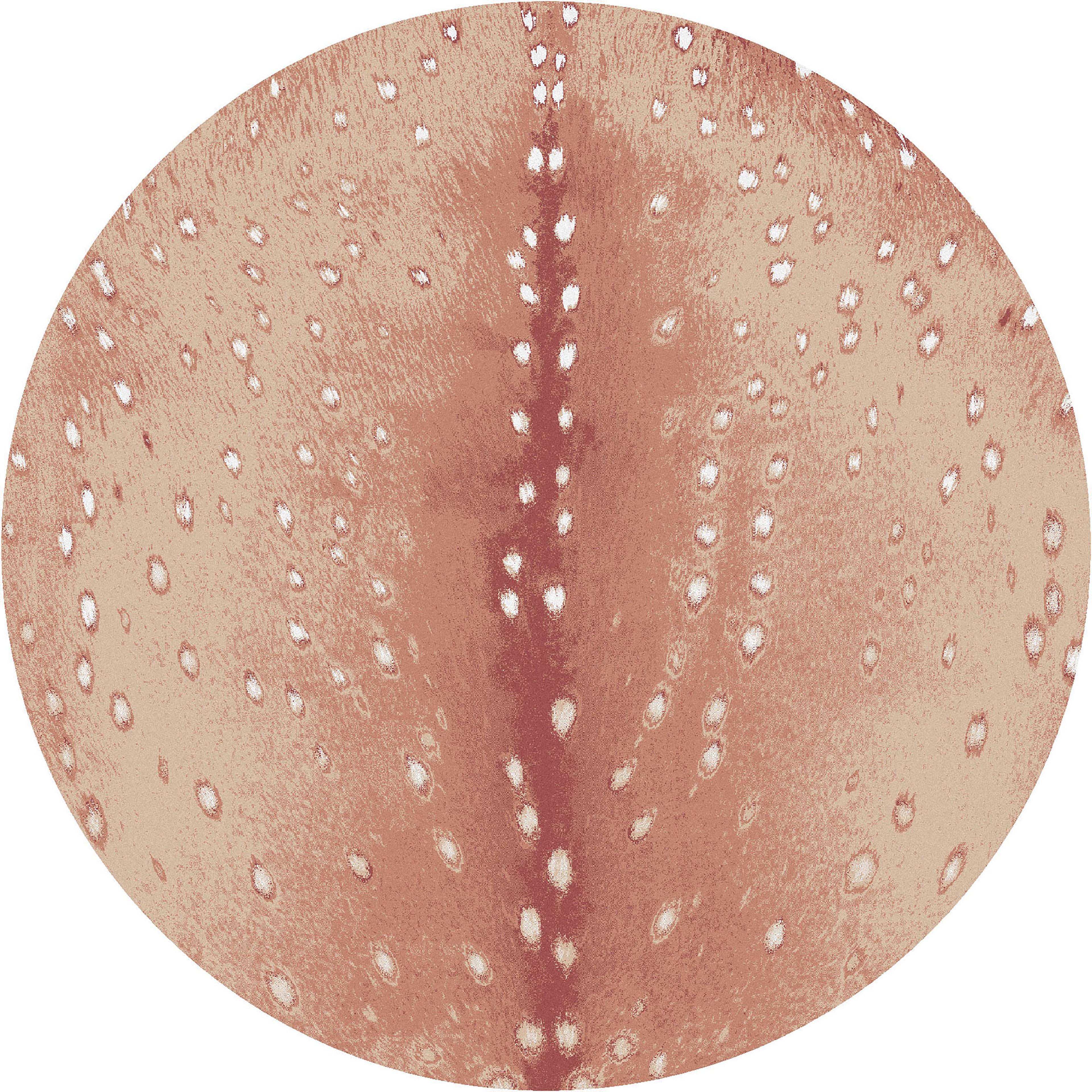 Spotted Hide American Dakota Rugs