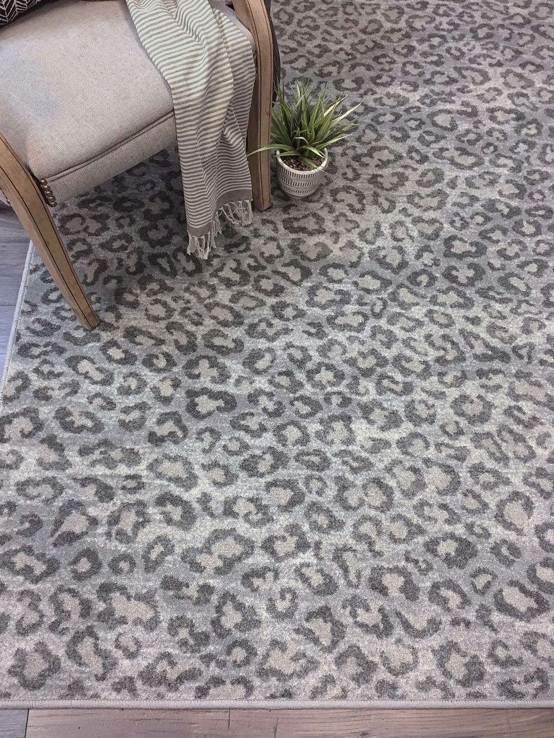 Snow Leopard American Dakota Rugs