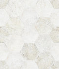 SAN FRANCISCO Hexagon Ceramic Tile by Shaw Shaw Tile & Stone