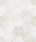 SAN FRANCISCO Hexagon Ceramic Tile by Shaw Shaw Tile & Stone