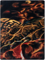 AD Maddox Guise of a Brook American Dakota Rugs