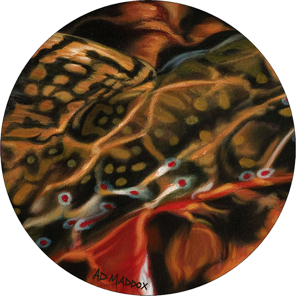 AD Maddox Guise of a Brook American Dakota Rugs