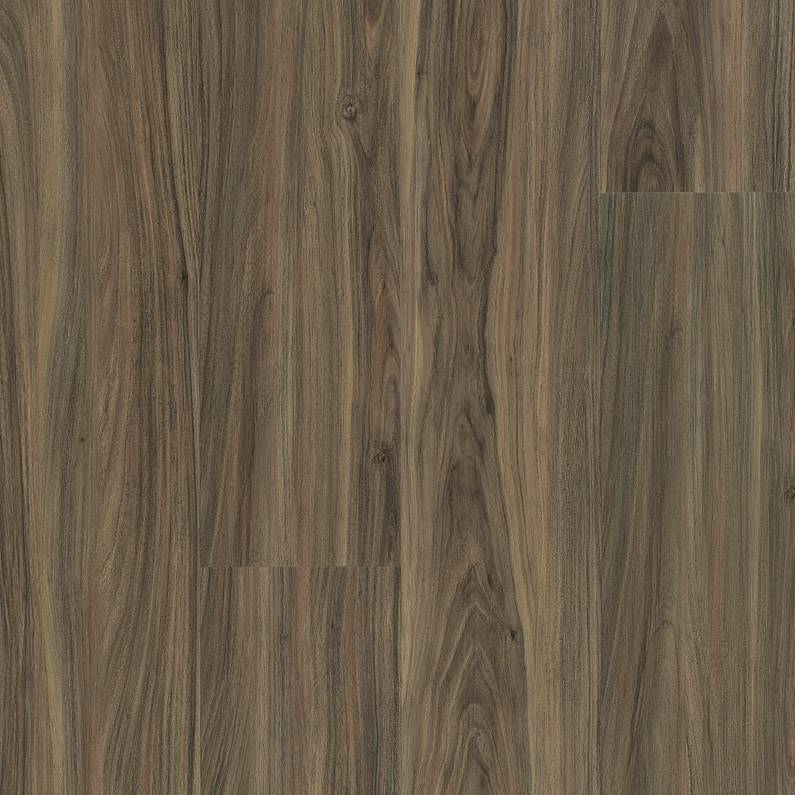 FRONTIER PLUS Luxury Vinyl Plank by Shaw Shaw Resilient T&P