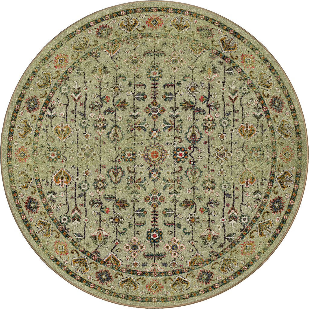Let's Talk Persian American Dakota Rugs
