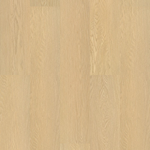 Shaw Resilient Plank Style PALADIN PLUS Resilient Plank Tile Flooring – Durable Shaw Flooring