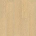 Shaw Resilient Plank Style PALADIN PLUS Resilient Plank Tile Flooring – Durable Shaw Flooring