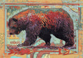 Ruiz Walking Bear American Dakota Rugs