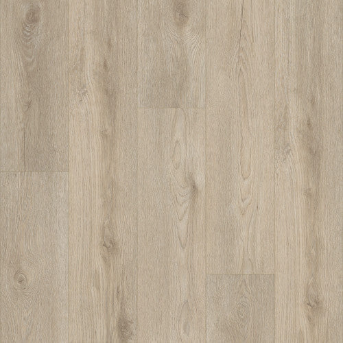 Shaw Resilient Plank Style PALADIN PLUS Resilient Plank Tile Flooring – Durable Shaw Flooring