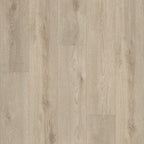 Shaw Resilient Plank Style PALADIN PLUS Resilient Plank Tile Flooring – Durable Shaw Flooring