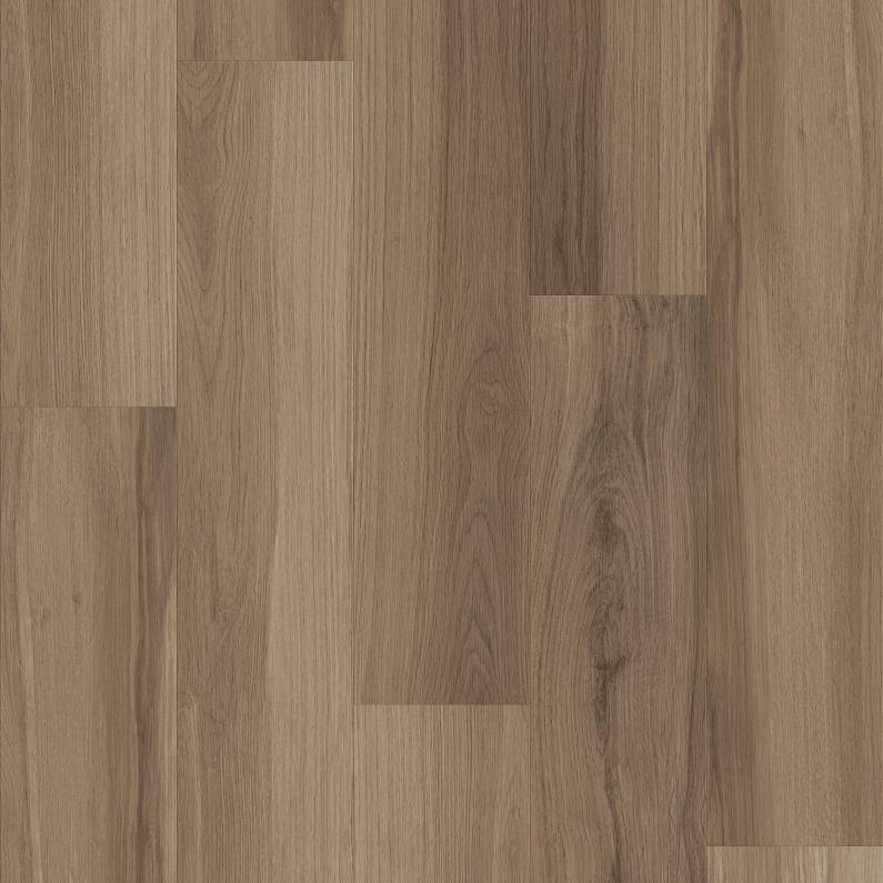 FRONTIER PLUS Luxury Vinyl Plank by Shaw Shaw Resilient T&P