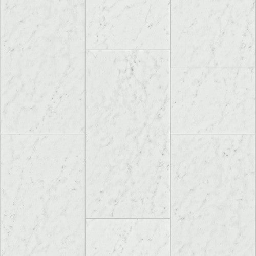 PARAGON TILE PLUS Luxury Vinyl by Shaw Shaw Resilient T&P