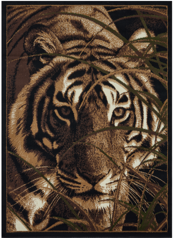 Big Cat Mayberry