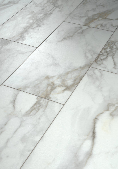 PARAGON TILE PLUS Luxury Vinyl by Shaw Shaw Resilient T&P