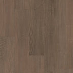 FRONTIER PLUS Luxury Vinyl Plank by Shaw Shaw Resilient T&P