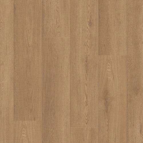 PARAGON HD+NATURAL BEVEL Luxury Vinyl by Shaw Shaw Resilient T&P
