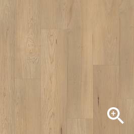 CORETEC PRO PREMIUM VV800                          - DOUGLAS MAPLE Coretec