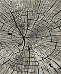Mayberry Rugs Denver Timber Gray Area Rug – Modern Casual Rug Mayberry Rug