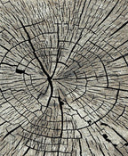Mayberry Rugs Denver Timber Gray Area Rug – Modern Casual Rug Mayberry Rug