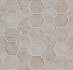 CITY LIGHTS 6X7 HEXAGON in MATTE Finish Shaw Tile & Stone