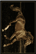 Running Free Mayberry