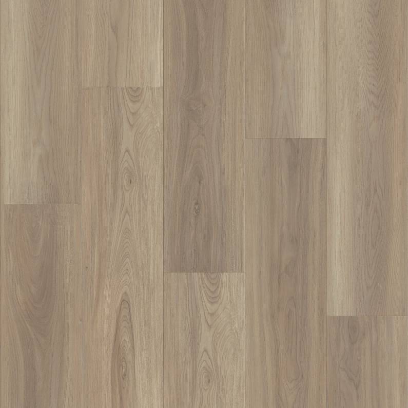 FRONTIER PLUS Luxury Vinyl Plank by Shaw Shaw Resilient T&P