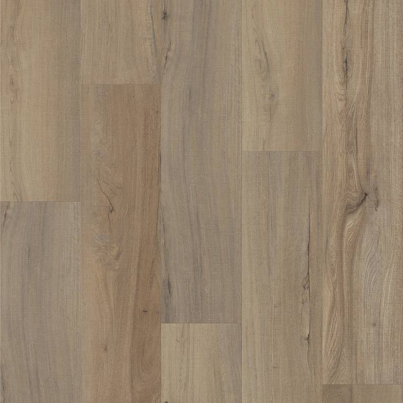 FRONTIER PLUS Luxury Vinyl Plank by Shaw Shaw Resilient T&P