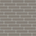 ASCENDANT 2X8 Glass Wall tile by Shaw Shaw Tile & Stone