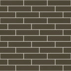 ASCENDANT 2X8 Glass Wall tile by Shaw Shaw Tile & Stone