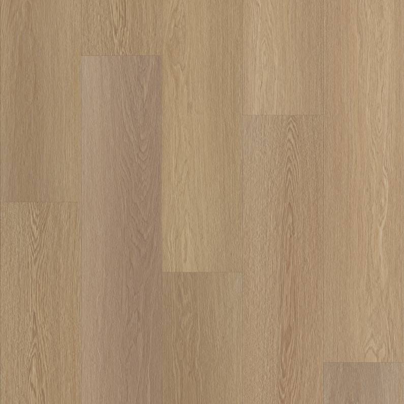 FRONTIER PLUS Luxury Vinyl Plank by Shaw Shaw Resilient T&P