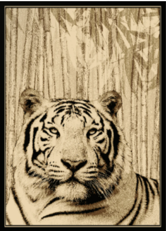 White Tiger Mayberry