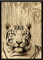 White Tiger Mayberry