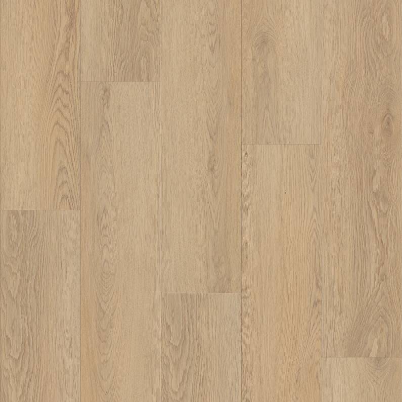 FRONTIER PLUS Luxury Vinyl Plank by Shaw Shaw Resilient T&P
