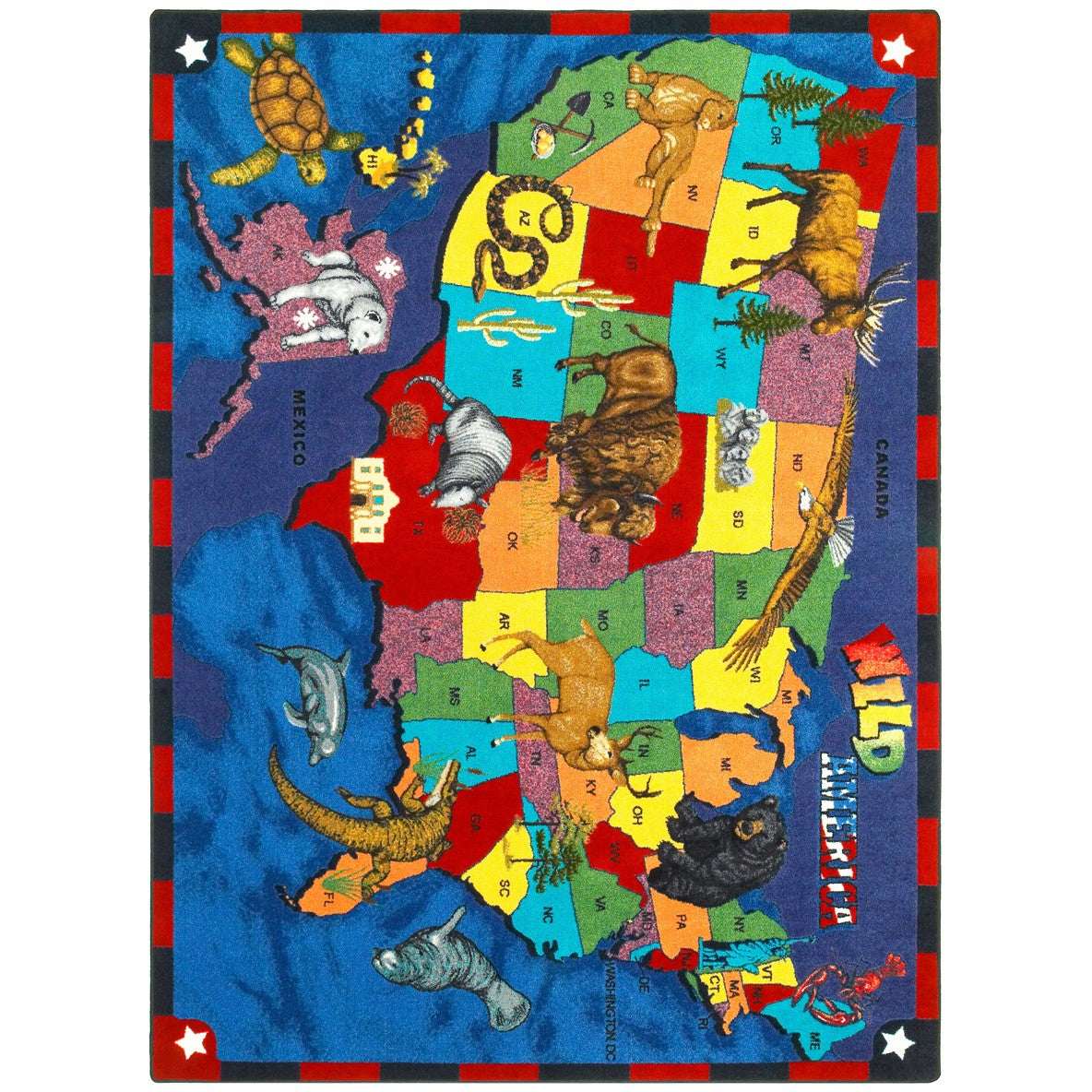Wild America Multi