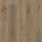 FRONTIER PLUS Luxury Vinyl Plank by Shaw Shaw Resilient T&P