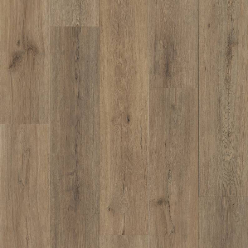 FRONTIER PLUS Luxury Vinyl Plank by Shaw Shaw Resilient T&P